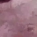 gregburns's Profile Picture