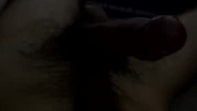 Recent Screenshot of  gustavolpz17