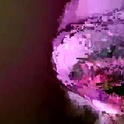 gypsxi's Profile Picture