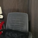hadasam26's Profile Picture