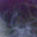 hagridthehorrible's Profile Picture