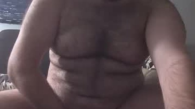 hairiestbear