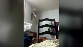 Recent Screenshot of  halfoftwelve