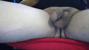 Recent Screenshot of  hammer713