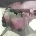 hammerhard1's Profile Picture