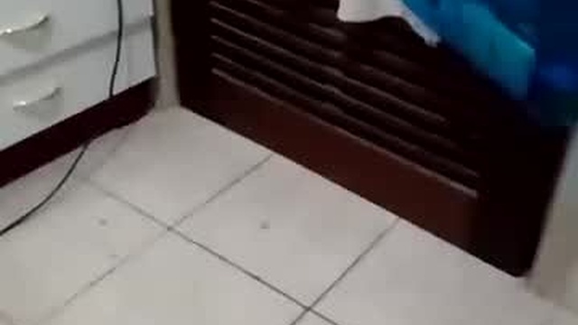 hamonoleoso