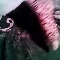 handsnfeetsies's Profile Picture