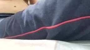 Recent Screenshot of  hapbit