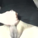 hardfrenchdick17's Profile Picture