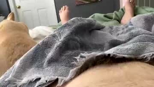 hardnthickm55