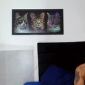 haroldsepulveda's Profile Picture