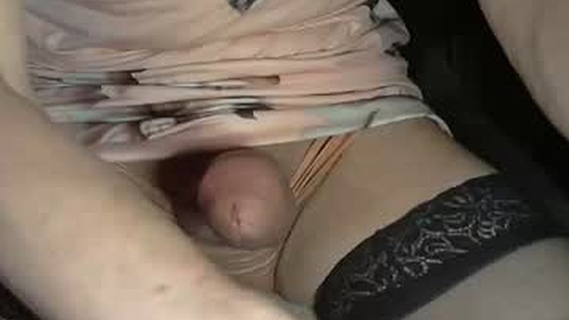harpanties