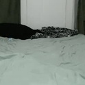 harpervalentinexxx's Profile Picture