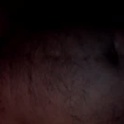 hastra358's Profile Picture