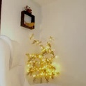 hayat_zeynep's Profile Picture