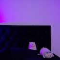 hayleeyross1_'s Profile Picture