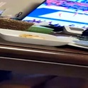 hdachang311's Profile Picture