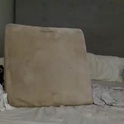 healthiest_cock's Profile Picture