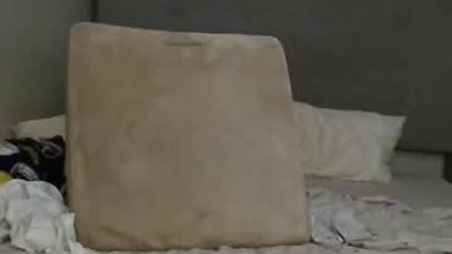 healthiest_cock