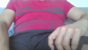 Recent Screenshot of  hedg3dog