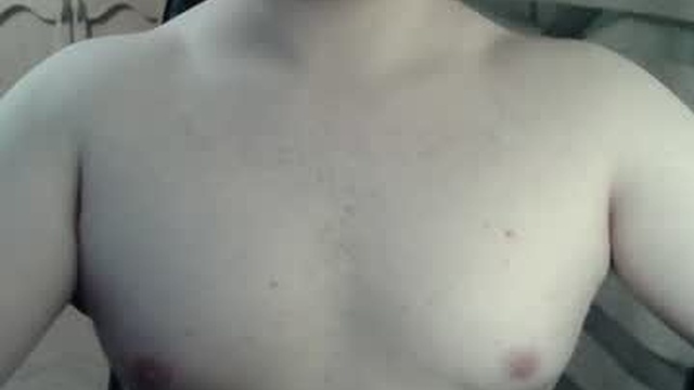 himbo_fox