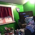 hippiedad333's Profile Picture
