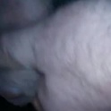 hofnung's Profile Picture