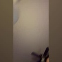 hollyanneee's Profile Picture