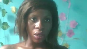 Recent Screenshot of  honey_bug2