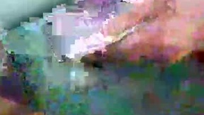 Recent Screenshot of  hoogendroog72