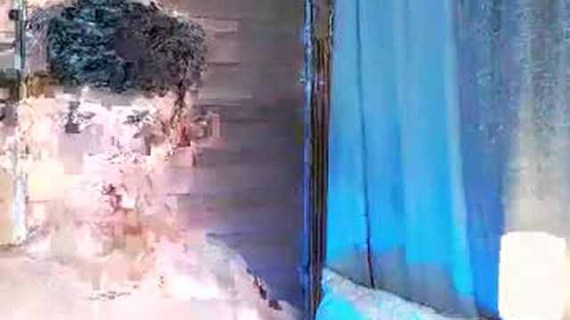 horny_joshxxx