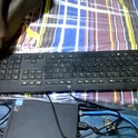 hornyman256xxx's Profile Picture