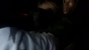 Recent Screenshot of  horsebrowm