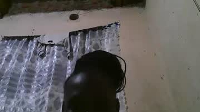 hot_meddina