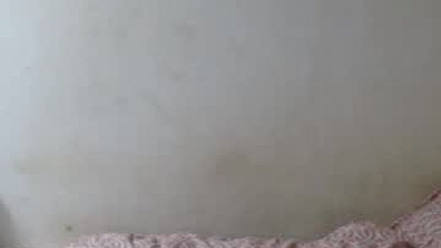 hotbellatrans