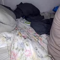 houseflipper's Profile Picture