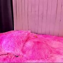 hunter_moon26's Profile Picture