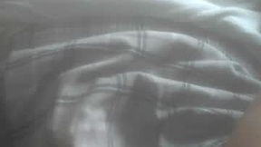 Recent Screenshot of  icyveins