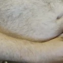 ifimhereimwanking's Profile Picture