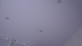 Aktueller Screenshot von ilsehoyos