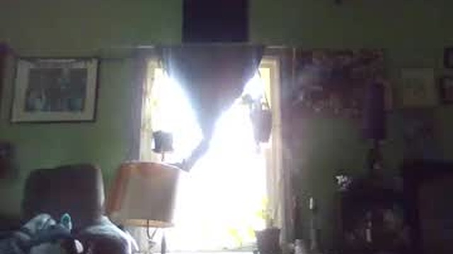 indigo_scorpio