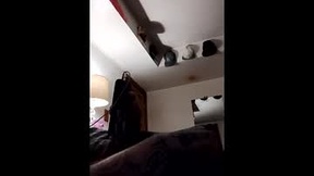 Recent Screenshot of  inkedmagic