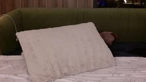 Recent Screenshot of  intelligencer