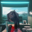 iranusrelations's Profile Picture