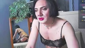 Recent Screenshot of  irenmodeltrans