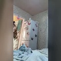 irisssska's Profile Picture