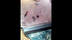 Recent Screenshot of  isaldatrans