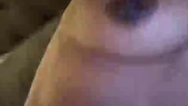 ittybittybay