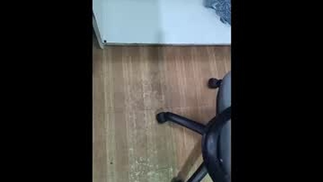 ivogab