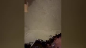 Recent Screenshot of  j11888